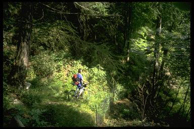 img0061.jpg (27960 Byte)